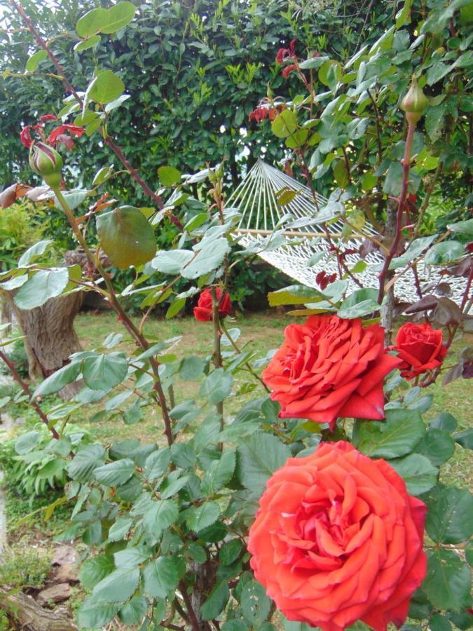 Casa Roberto B&B Savona Ngoại thất bức ảnh