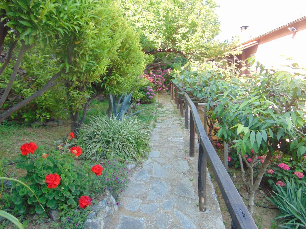 Casa Roberto B&B Savona Ngoại thất bức ảnh