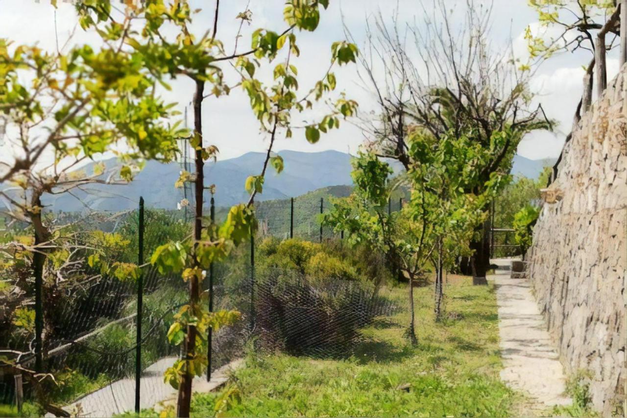Casa Roberto B&B Savona Ngoại thất bức ảnh